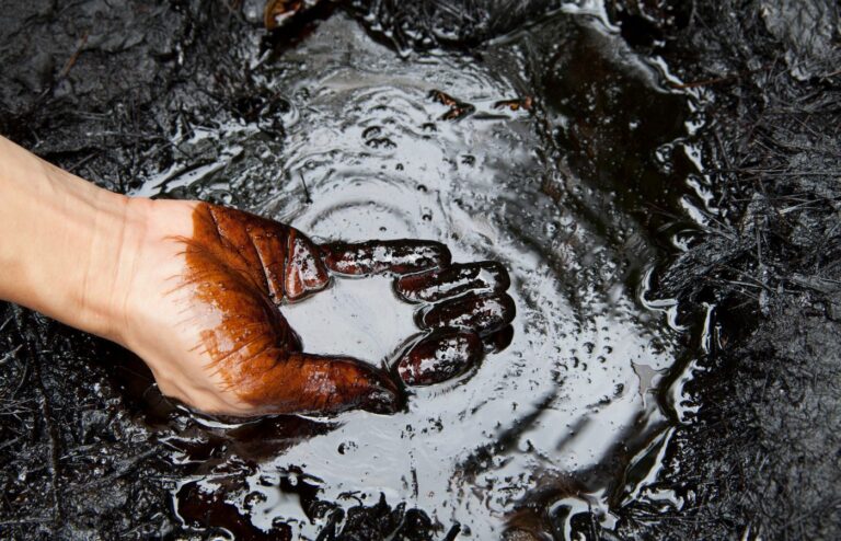 PAS DE SANG POUR LE PÉTROLE, PAS D’ESSENCE D’ESSO, SHELL ET BP !